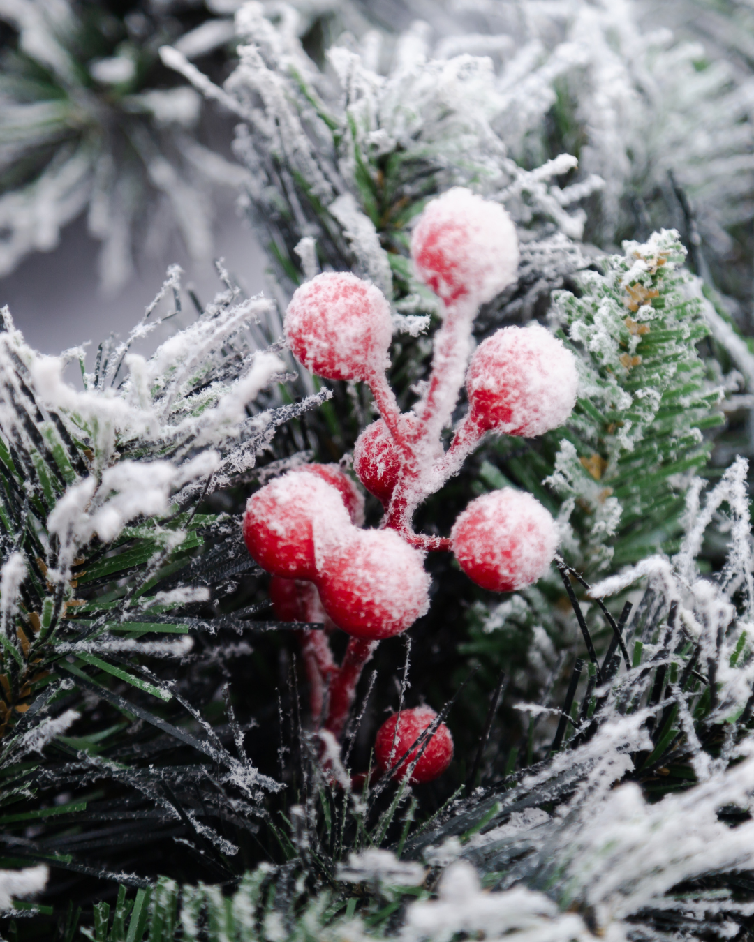 Artificial red berries on a snowy branch