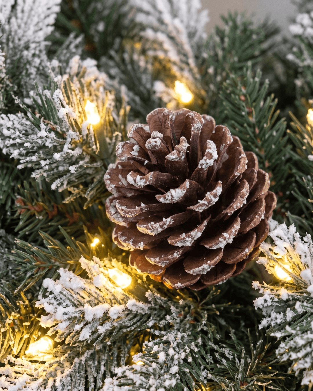 Close-up of a pine cone among frosted tips illuminated by warm white LED lights
