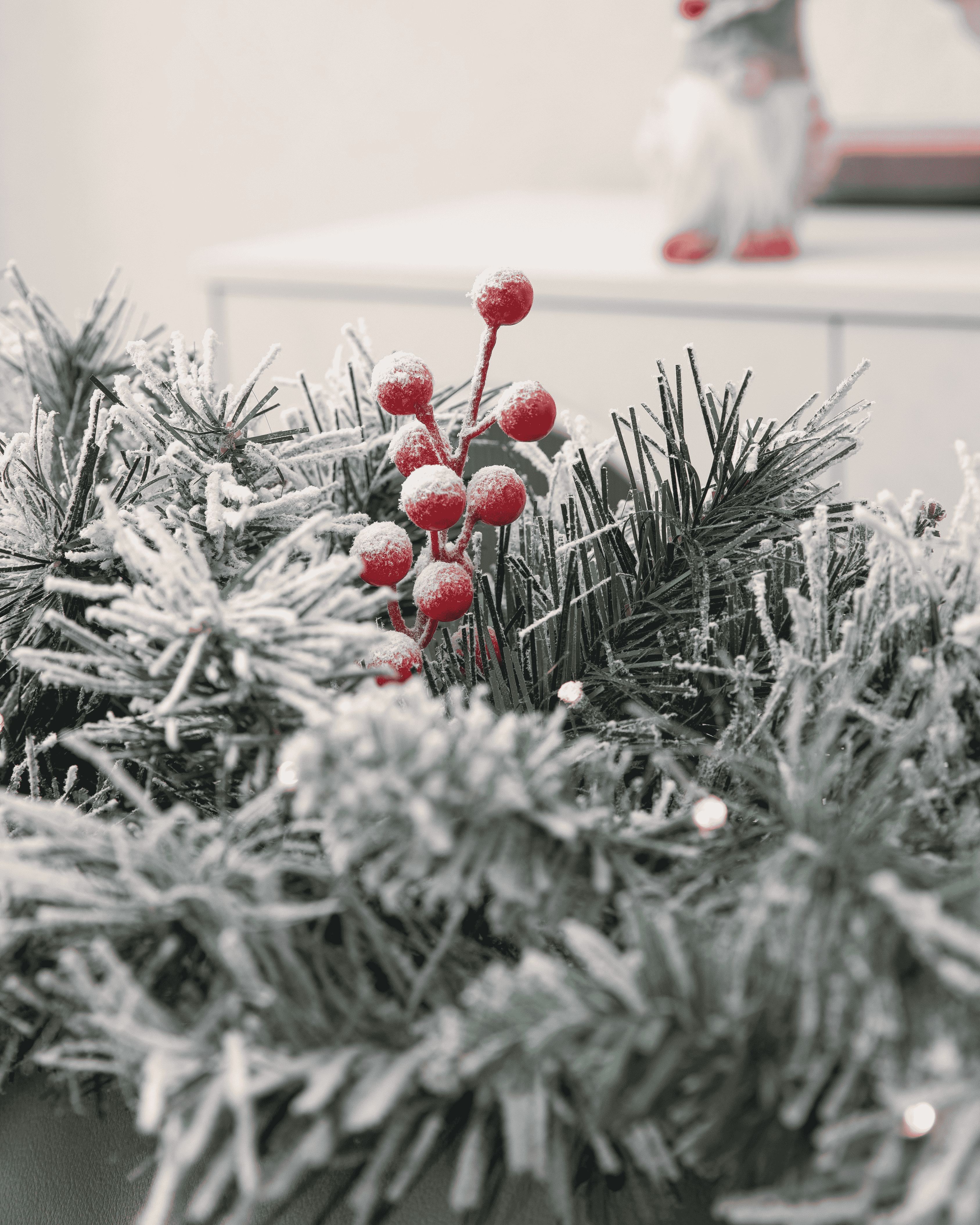 Frosty pine branches with red artificial berries