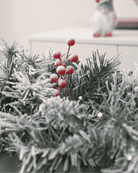 Frosty pine branches with red artificial berries